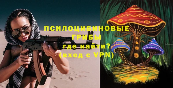дурь Богородицк