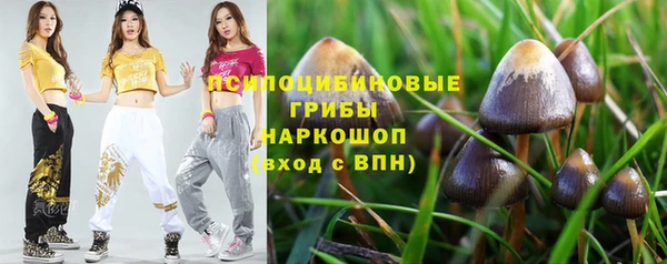 дурь Богородицк