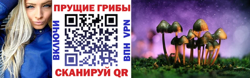 где продают наркотики  Котельнич  Галлюциногенные грибы Magic Shrooms 